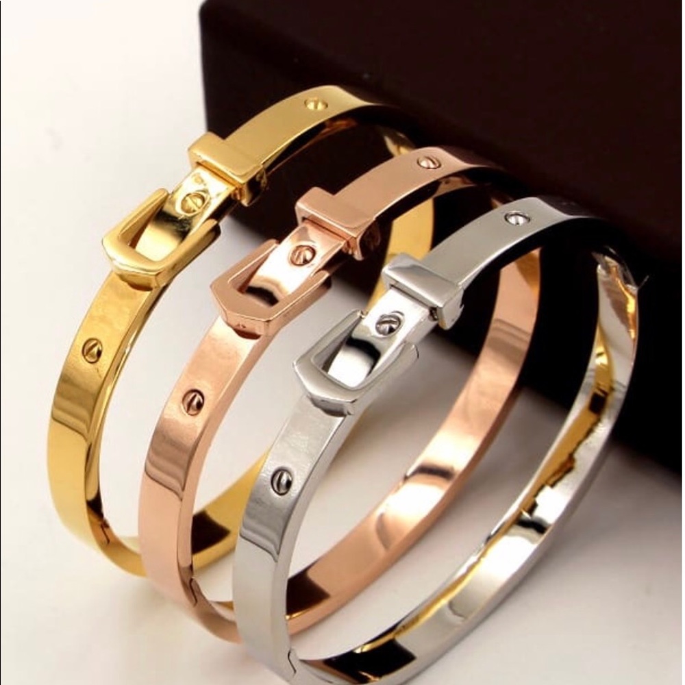 Titanium Belt Geometric Dainty Bangle